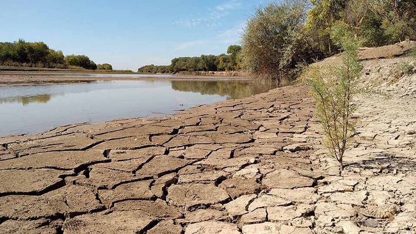 Всемирный банк выделит 20 миллионов долларов на спасение водных ресурсов стран ЦА